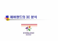 [경영학] 에버랜드의 3C 분석-1