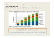 [국제전략] 스마트 TV의 향후 전망-10
