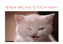 대한항공의 MOT현황과 발전방안 제안-11