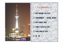 [국제경영] 중국 마몽드 포지셔닝 및 커뮤니케이션 전략-주름개선라인 출시를 위한 경쟁제품 분석 및 시장조사-2