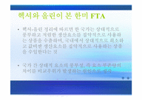 [거시경제론] 한미 FTA가 국내 자동차 시장에 미치는 영향-15