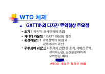 [경제학] 글로벌경제의 관리와 WTO 체제-15