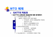 [경제학] 글로벌경제의 관리와 WTO 체제-17