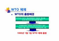 [경제학] 글로벌경제의 관리와 WTO 체제-18
