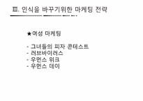 [마케팅 전략] 미스터피자의 소비자 인식을 바꾸기위한 마케팅 전략-17