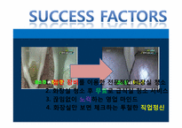 [마케팅] TV프로그램 VJ특공대 속 서비스 마케팅 사례 조사-12