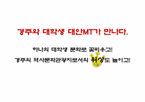 [문화관광 경영론] 경주 역사문화 관광 기획안-7