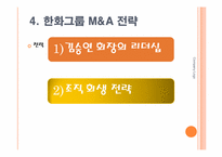 [조직구조론] 한화그룹 M&A전략과 대한생명 인수합병과정-18