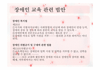 [장애인 복지론] 장애인 교육-4