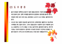 세계 놀이 문화-8