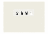 [지방행정론] 충청남도 행정구역 개편안 및 발전전략-1