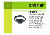 성범죄에 대한 전자발찌 처벌에 대하여-4