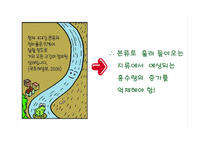 [기술과 사회] 4대강 사업의 문제점과 개선방향-11