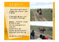 [축제와 문화] 몽골 나담축제, 아이누족 곰축제-8