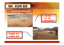 4대강 정비사업에 대한 비판과 논란 및 해외 평가-20