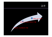 [중국지역학] 중국의 지식인-신 좌파와 자유주의를 중심으로-19