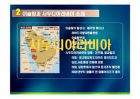[정치문화] 이슬람문화 및 사우디아라비아의 민주주의 및 민주화 가능성-5
