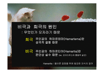 [서양 연극의 이해] 오이디푸스 왕 작품 특성-11