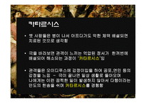 [서양 연극의 이해] 오이디푸스 왕 작품 특성-14