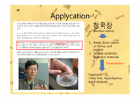 [미생물학] 바실러스 세레우스(Bacillus cereus) 실험-7