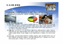 [지구와 환경] 도시화 문제-16