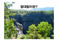 [지구와 환경] 열대림파괴와 지구환경-3