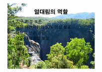 [지구와 환경] 열대림파괴와 지구환경-4