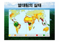 [지구와 환경] 열대림파괴와 지구환경-5