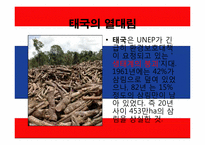 [지구와 환경] 열대림파괴와 지구환경-7