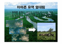 [지구와 환경] 열대림파괴와 지구환경-8