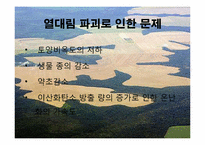 [지구와 환경] 열대림파괴와 지구환경-11