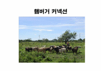 [지구와 환경] 열대림파괴와 지구환경-12