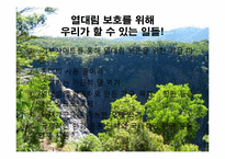 [지구와 환경] 열대림파괴와 지구환경-17