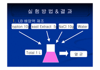 [화학공학] 미생물 성장속도 실험-Bacillus의 성장속도 실험-8