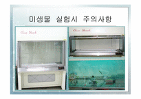 [화학공학] Escherichia coli의 성장 속도 측정-6