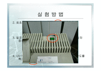 [화학공학] Escherichia coli의 성장 속도 측정-8