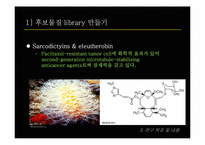 [병리학] Paclitaxel-resistant 암세포에 민감성을 갖는 천연물질을 선별 및 항암기전 연구-17
