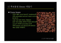 [병리학] Paclitaxel-resistant 암세포에 민감성을 갖는 천연물질을 선별 및 항암기전 연구-19