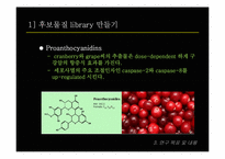 [병리학] Paclitaxel-resistant 암세포에 민감성을 갖는 천연물질을 선별 및 항암기전 연구-20