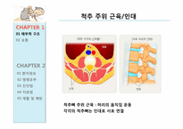 [의학] 요통의 이해 및 재활-6
