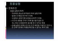 [간호윤리] 생체실험에 대한 윤리적 고찰-7