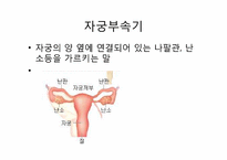 [PBL] 자궁부속기 양성종양 병태생리-2