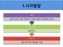 [아동발달] 영아기 인지발달-5
