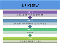 [아동발달] 영아기 인지발달-6