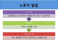[아동발달] 영아기 인지발달-13