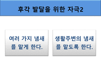 [아동발달] 영아기 인지발달-14