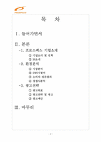 프로스펙스 광고기획서-2