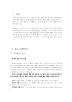 LG전자 광고기획서-3