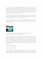 17차 중국진출 마케팅전략분석-8