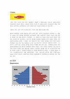 17차 중국진출 마케팅전략분석-10